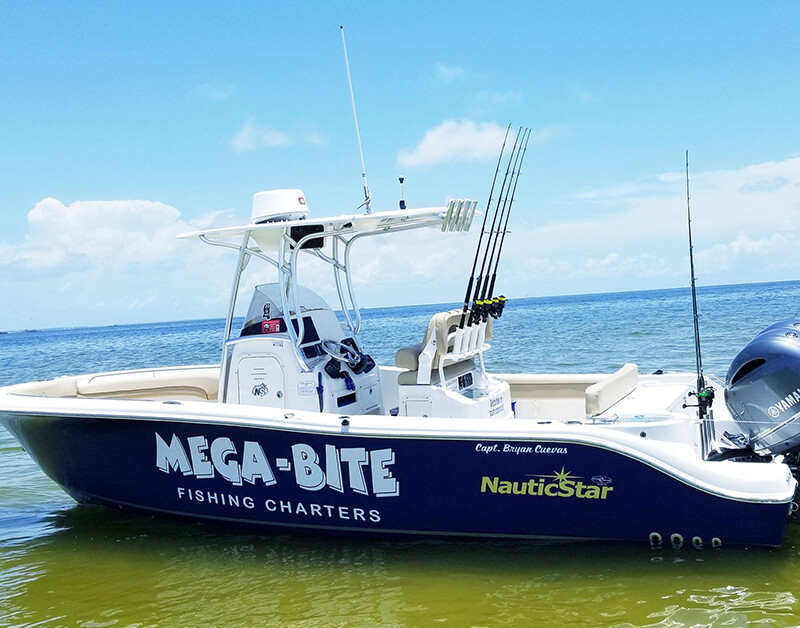 Mega-Bite Fishing Charters