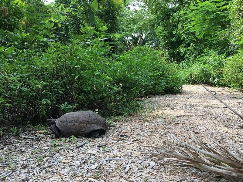 Otter Mound Preserve