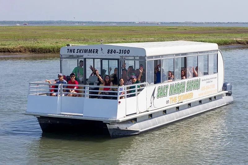 Salt Marsh Safari