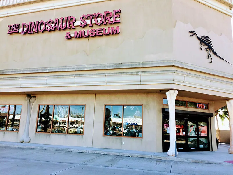 The Dinosaur Store and Museum