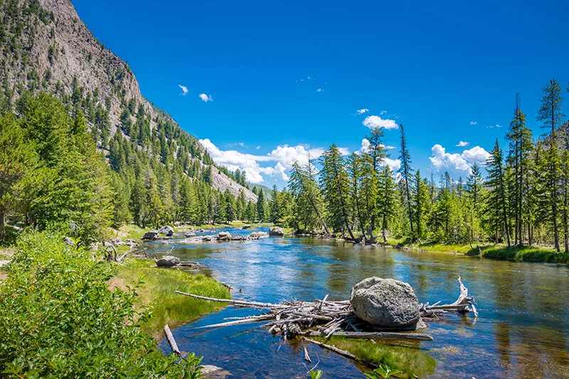 Yellowstone National Park