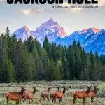 best things to do in Jackson Hole