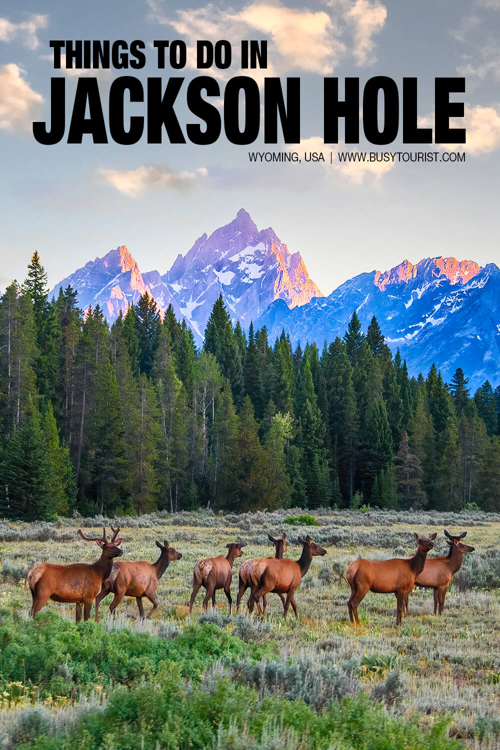 26 Best & Fun Things To Do In Jackson Hole (WY) Attractions & Activities