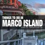 fun things to do in Marco Island