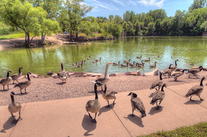 Arrowhead Park