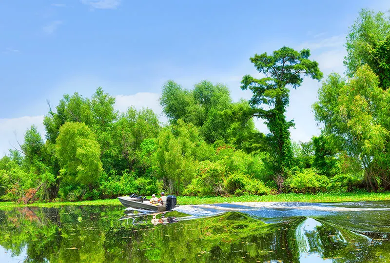 Atchafalaya Basin