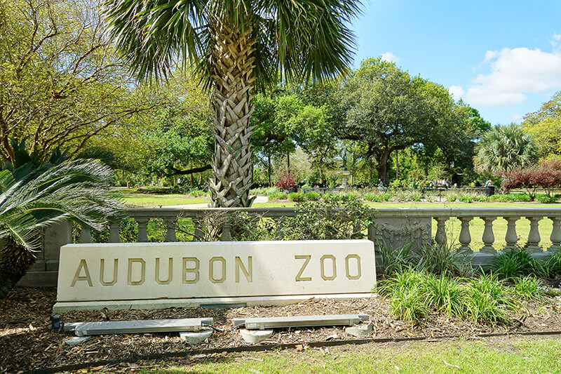 Audubon Zoo