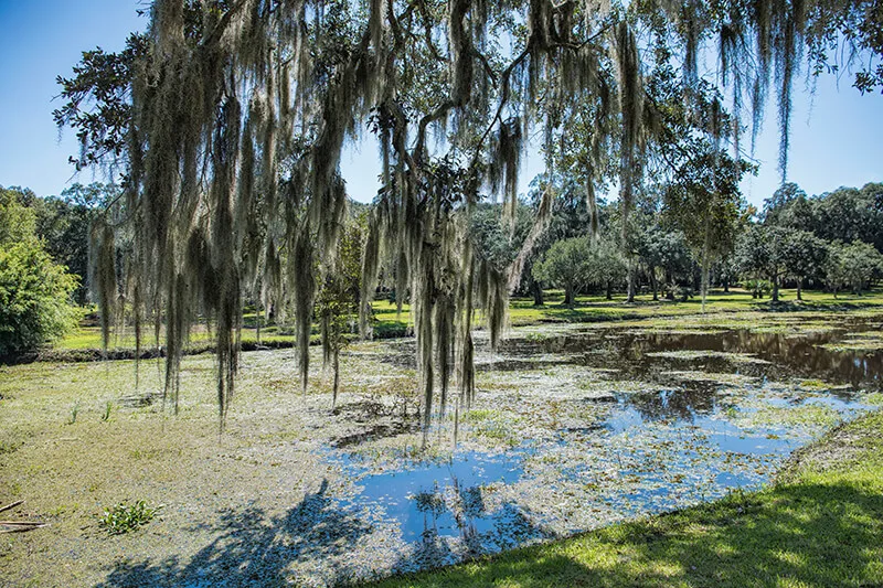 Avery Island