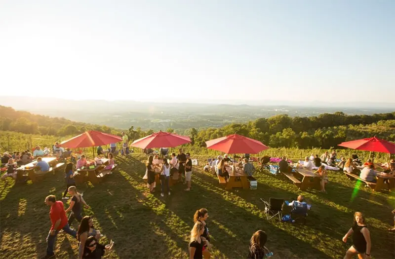 Carter Mountain Orchard