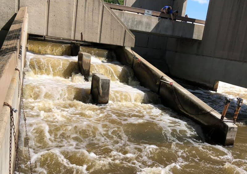 Fish Ladder Park