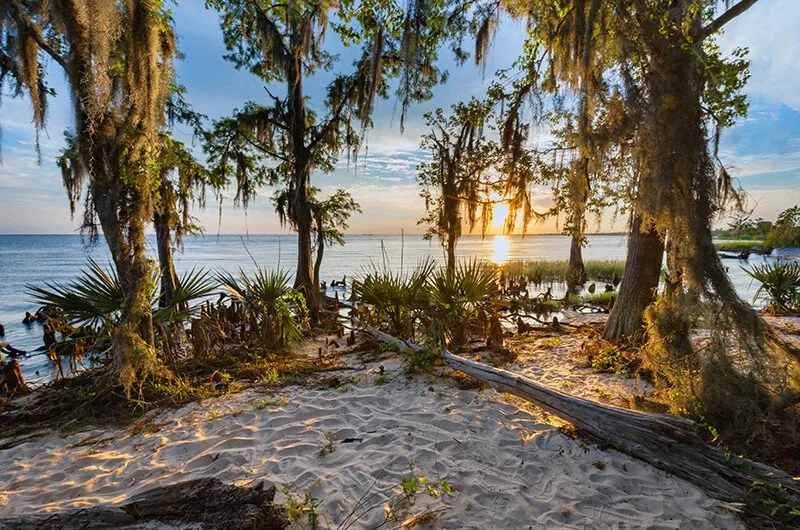 Fontainebleau State Park