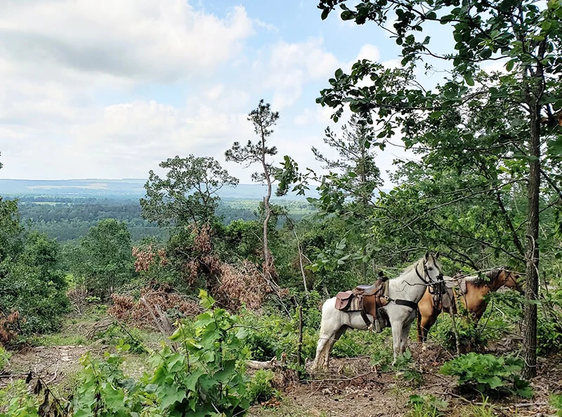 Glover River Trail Rides