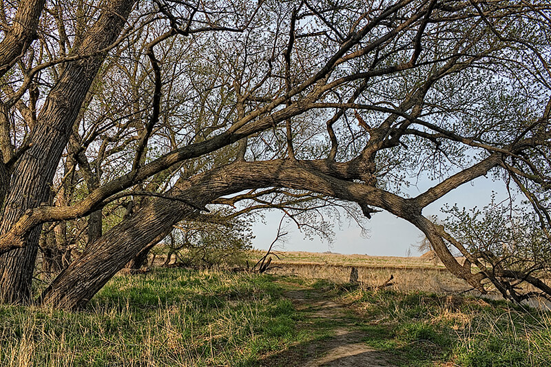 Good Earth State Park