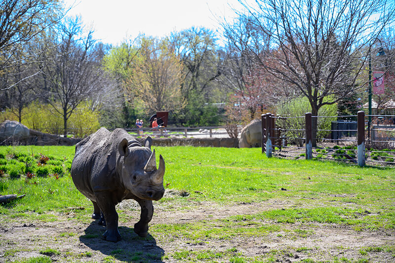 Great Plains Zoo