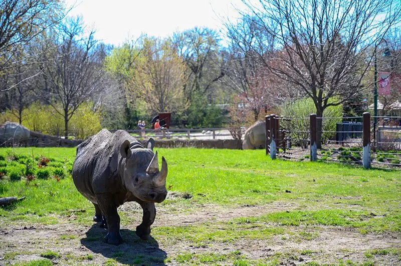 Great Plains Zoo