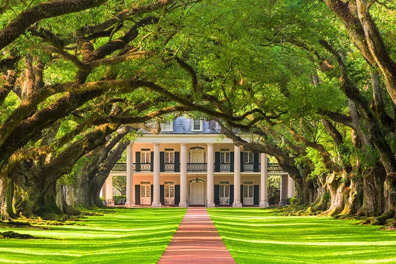 Oak Alley Plantation