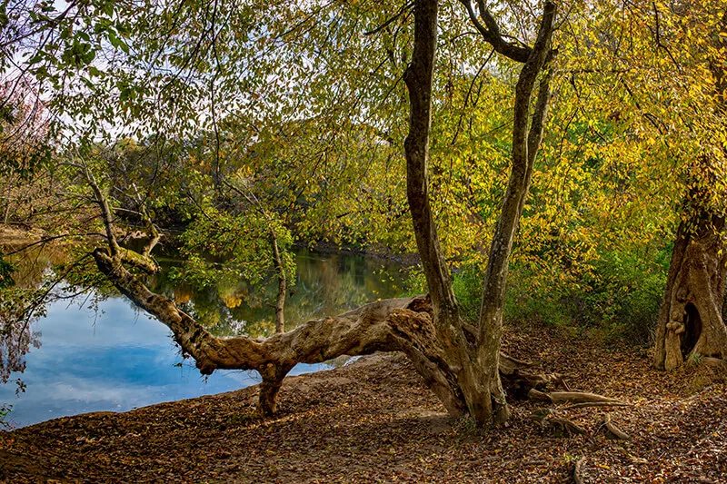 Rivanna River Trail