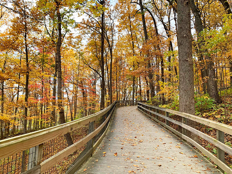 Saunders-Monticello Trail