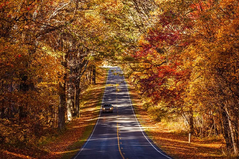 Skyline Drive in Shenandoah National Park