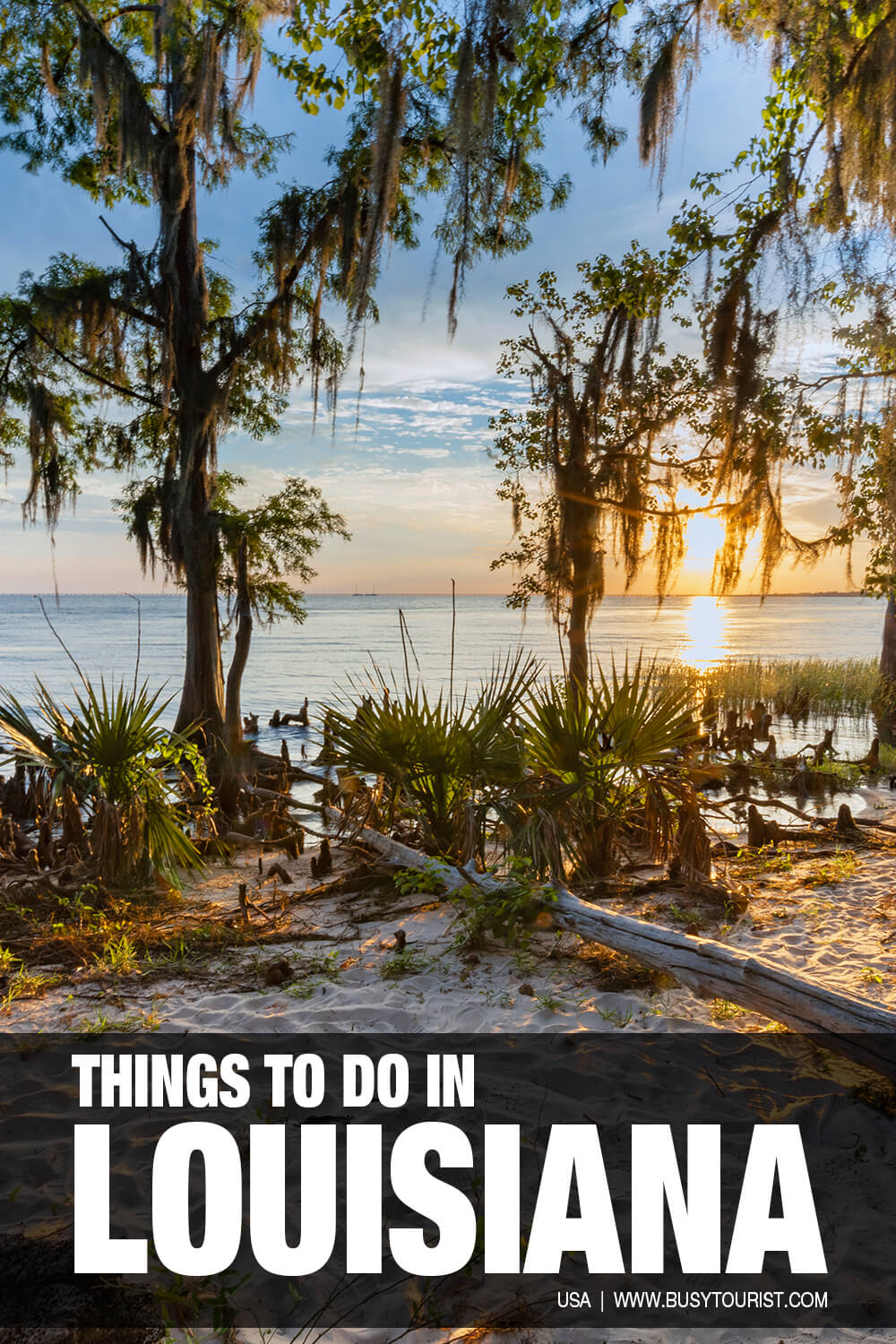 45 Fun Things To Do & Places To Visit In Louisiana Attractions