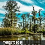 things to do in Louisiana