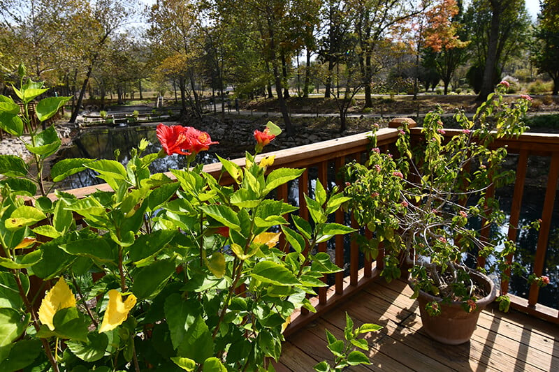 Blue Spring Heritage Center