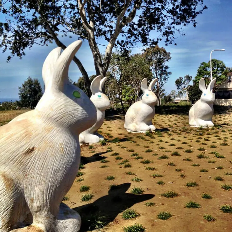 Bunnyhenge and Sculpture Exhibition in Civic Center Park