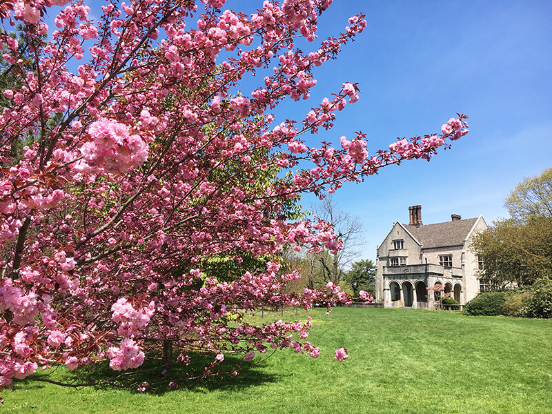 Coe Hall and the Planting Fields