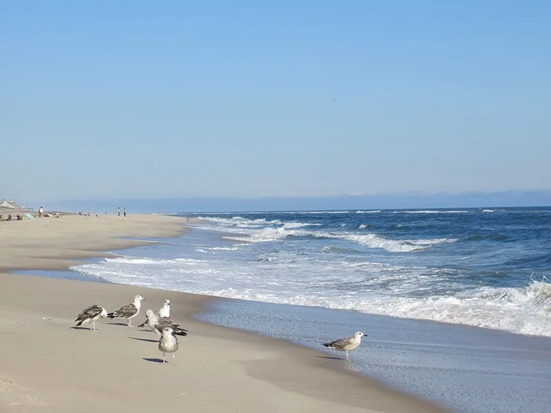 Cooper's Beach