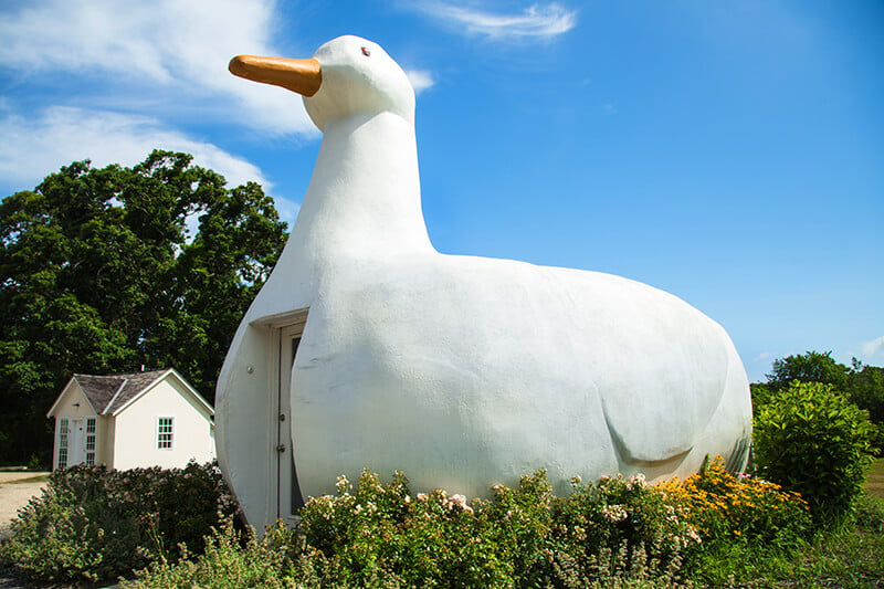 The Big Duck