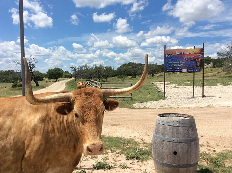 The Chisholm Trail Winery