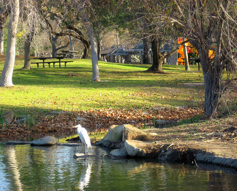 Yorba Regional Park