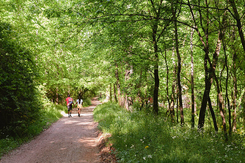 Red Mountain Park