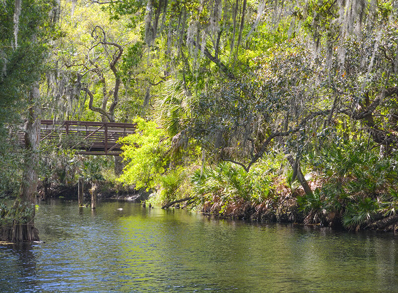 Shingle Creek Regional Park