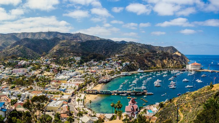 Things To Do On Catalina Island