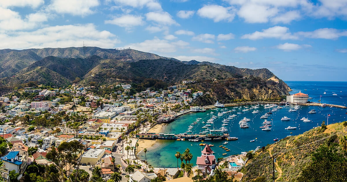 visit catalina island for the day