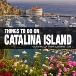 fun things to do on Catalina Island