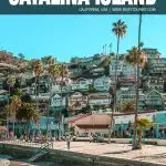 things to do on Catalina Island