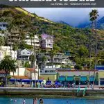 things to do on Catalina Island