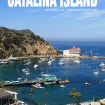 things to do on Catalina Island