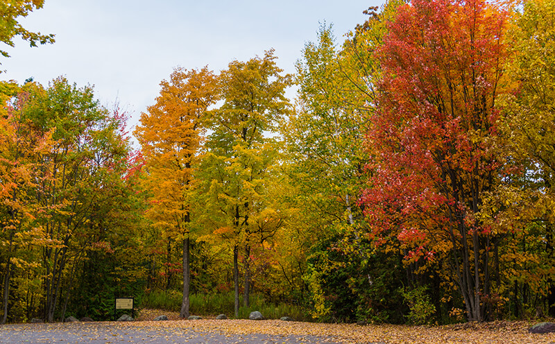 Mount Philo State Park