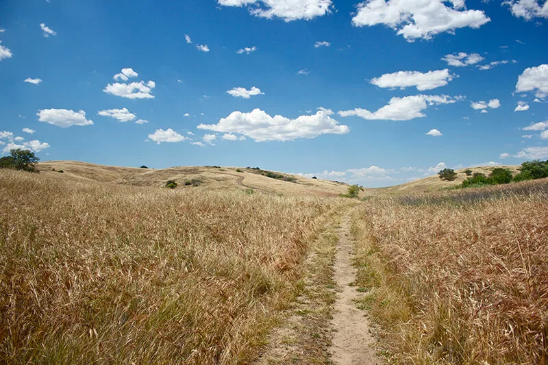 Santa Rosa Plateau