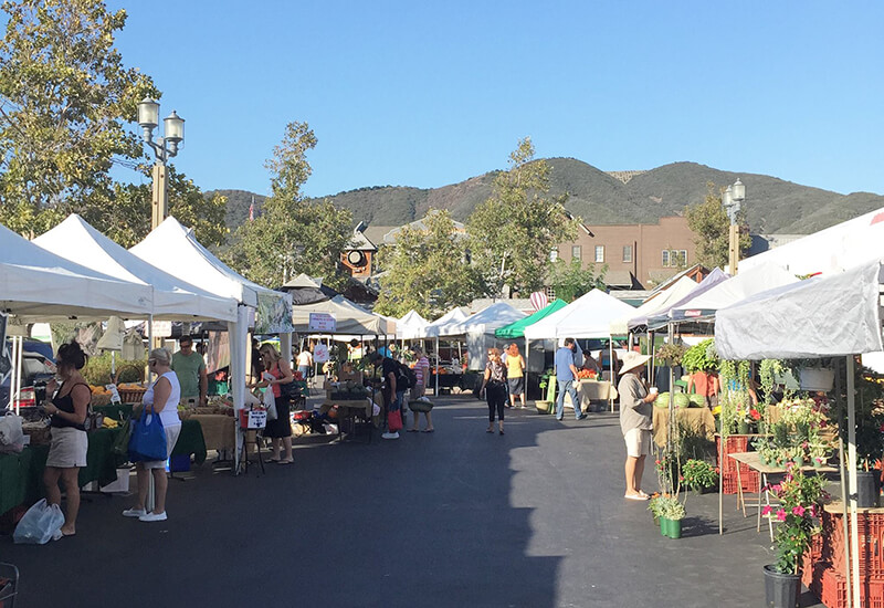 Shop at the Market