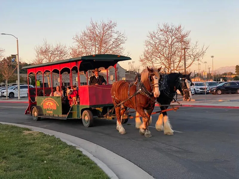 Temecula Carriage Company