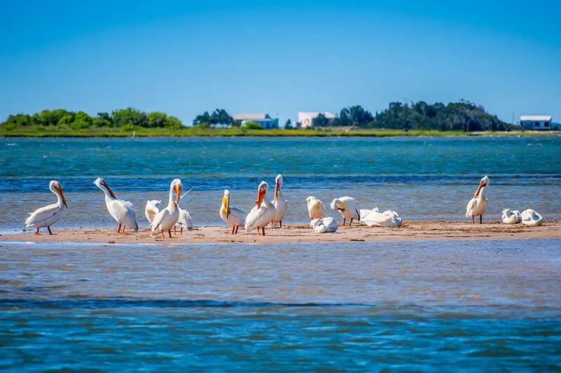 Padre Island National Seashore