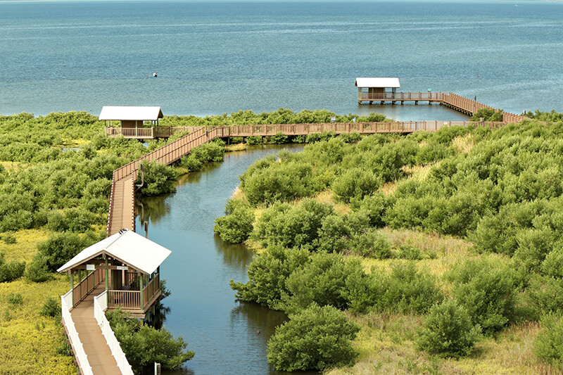 South Padre Island Birding & Nature Center