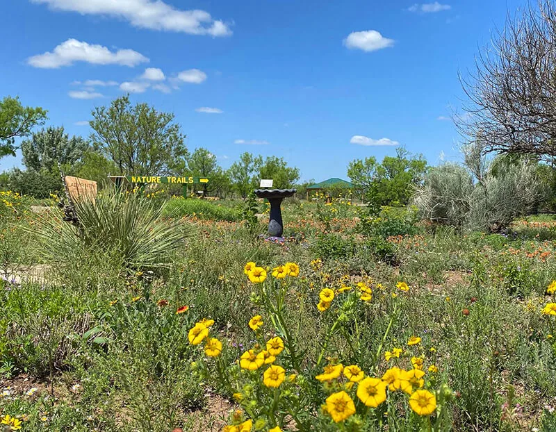 Wildcat Bluff Nature Center