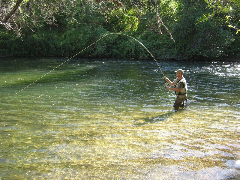 Napa Valley Fly Guides