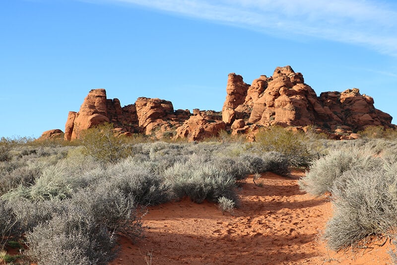 Red Cliffs National Conservation Area