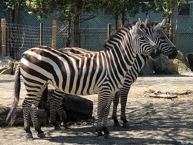 Roger Williams Park Zoo